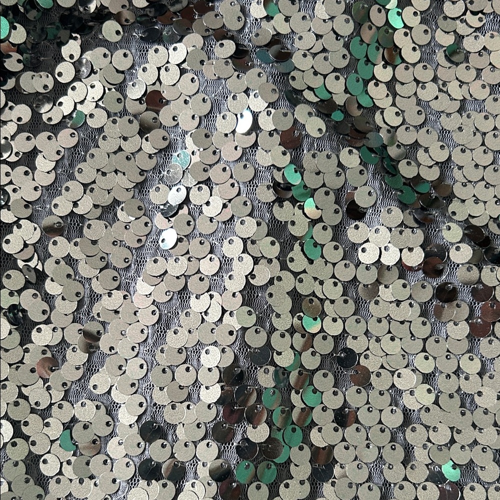 Express Silver Sequin Halter Camisole - Picture 5 of 5